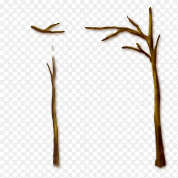 ��֦-������