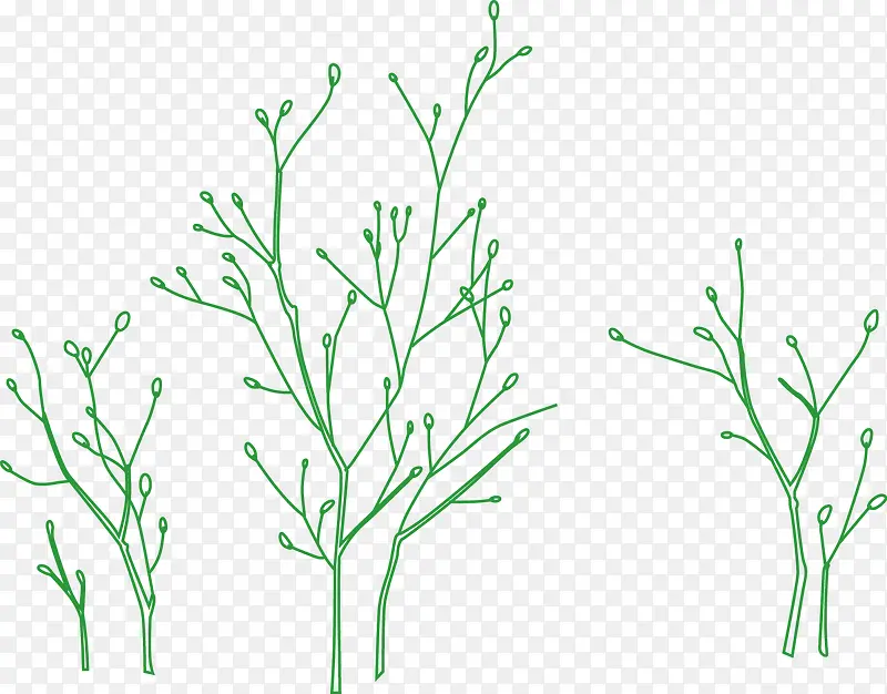 ��ɫ��֦-������