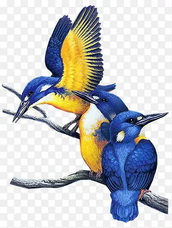 ��-������