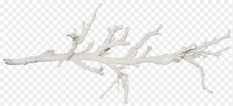 ��ɫ֦��-������