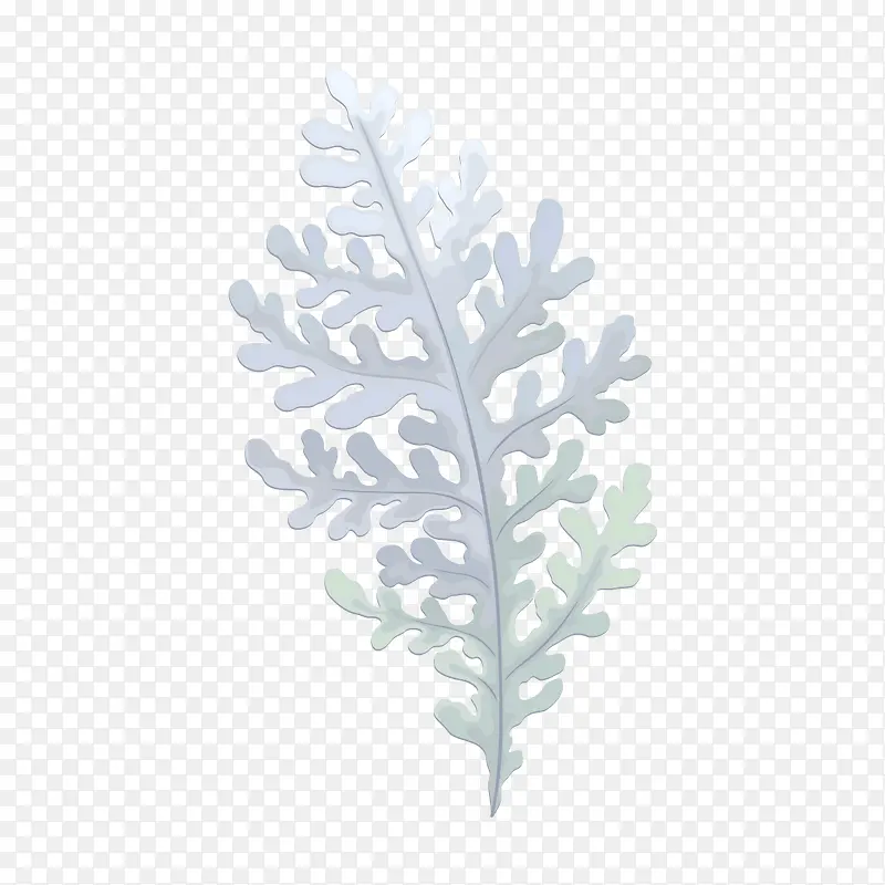 �ֻ�ˮ�ʰ�ɫ��֦-������