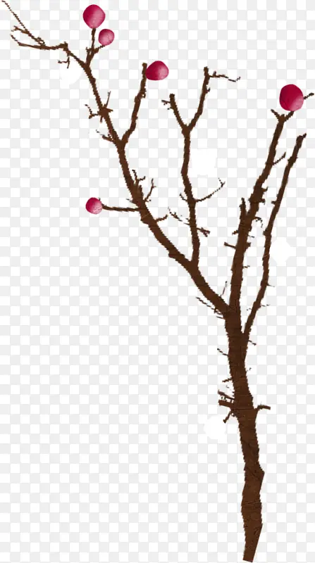 �ֻ���֦-������