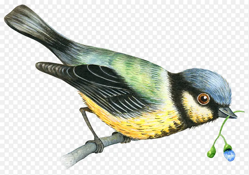 �ֻ�С��-������