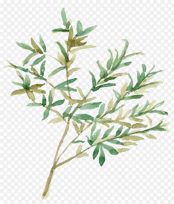 �ֻ���֦-������