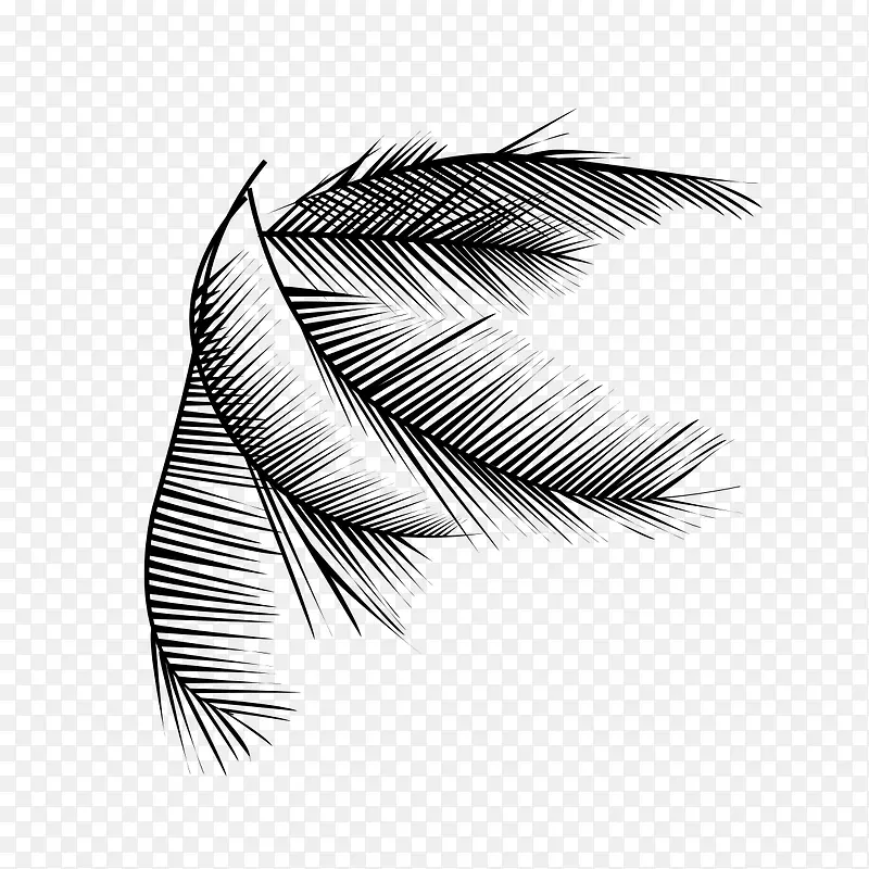 �ֻ���֦ͼƬ-������