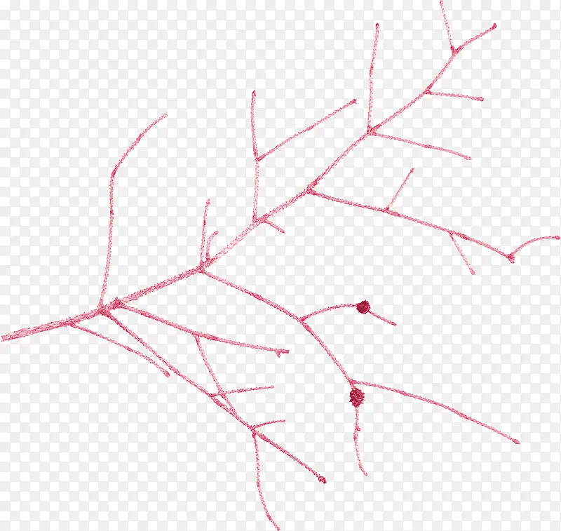 ��ɫƯ����֦-������