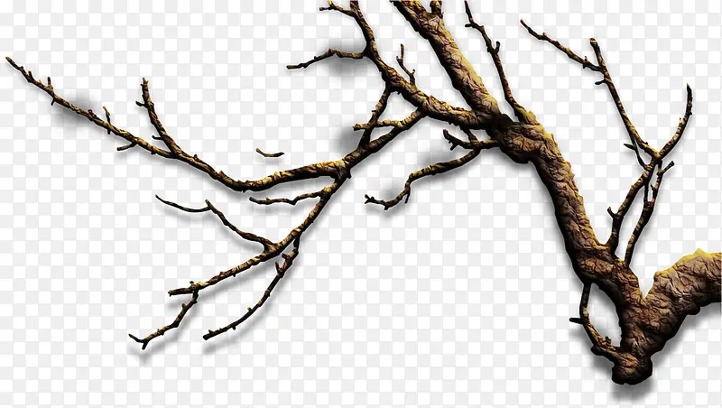 ��֦����-������