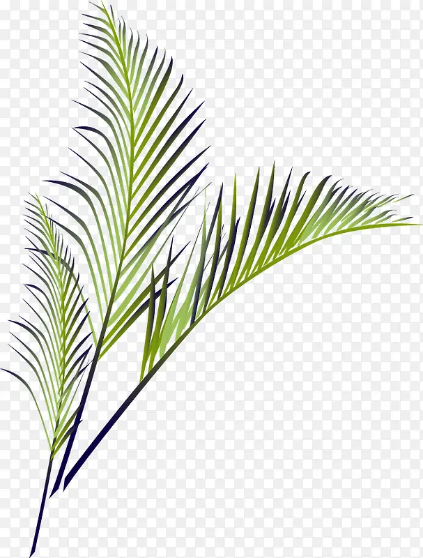 ����������֦-������