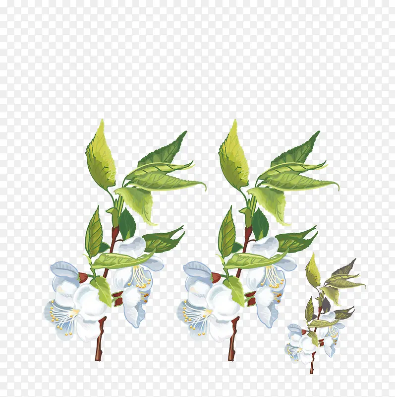 ��֦-������