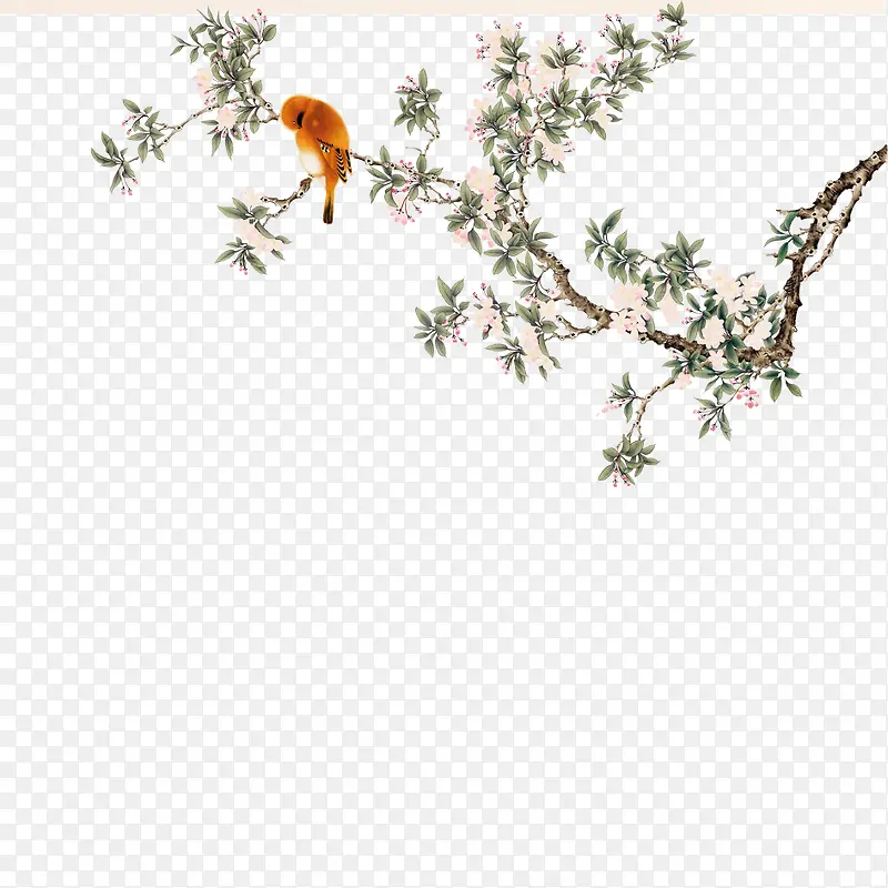 ��֦-������