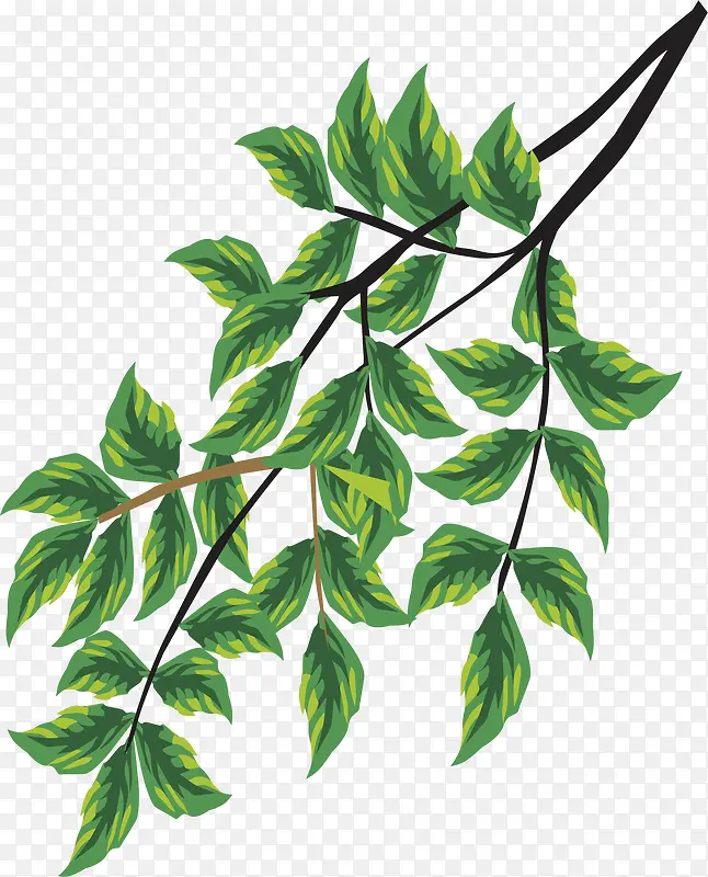 ʸ���ֻ���֦-������