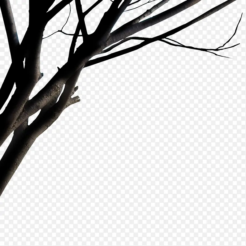 ��ɫ��֦-������