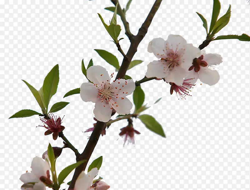 �����һ���-������