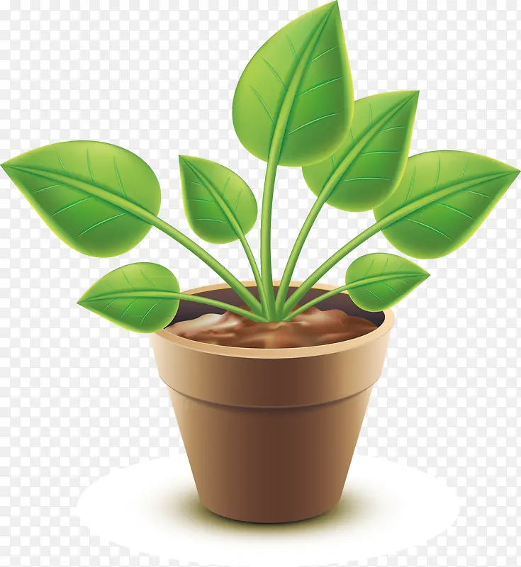 ��֦װ�δ���-������