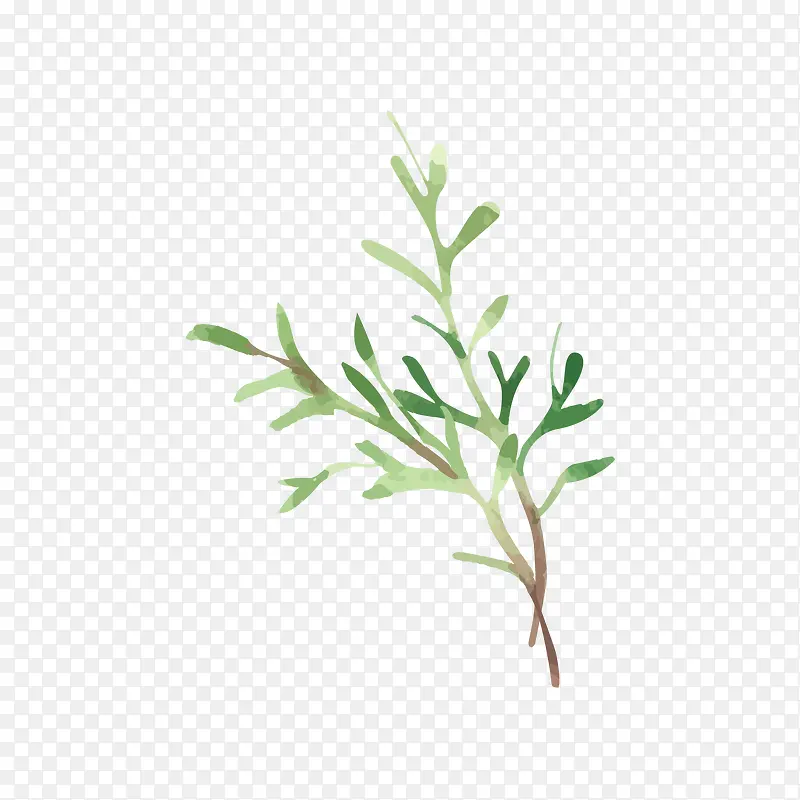 �ֻ�ˮ����֦����ز�-������