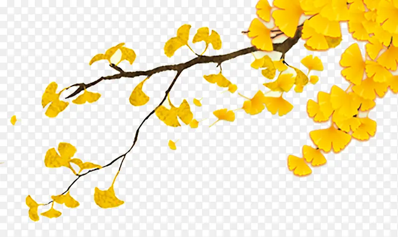 ��ɫ��֦Ҷ��װ��-������