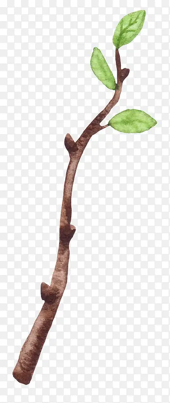 �ɰ�С����װ�κ���װ����֦-������