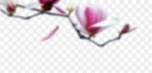 ��-������