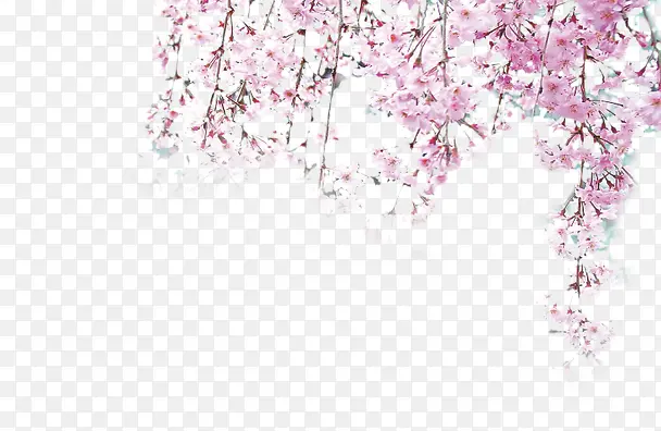 ��ɫ��֦-������