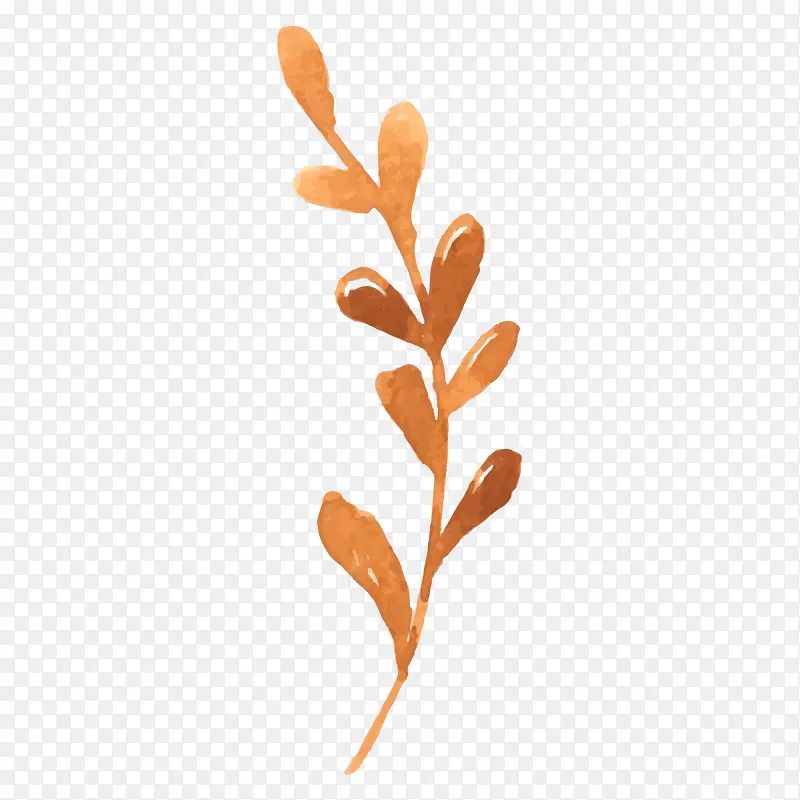 �ֻ�ˮ����ɫ��֦-������