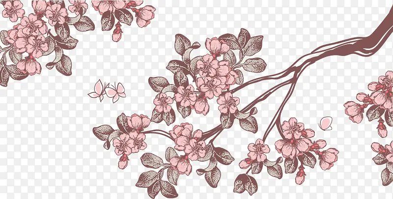 ��֦-������