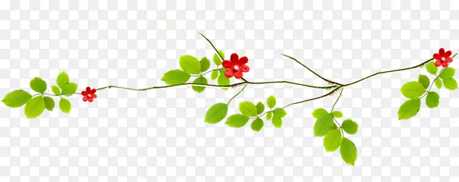 �ֻ滨֦�����ز�-������