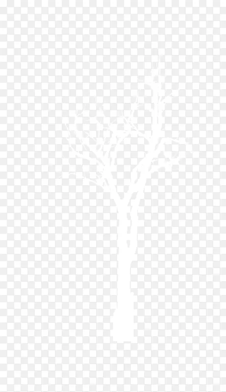 ����С����С��֦��͸����֦-������