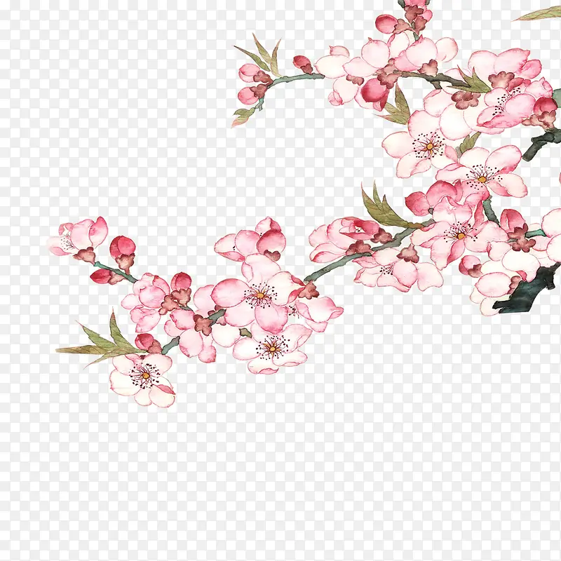 ��֦-������