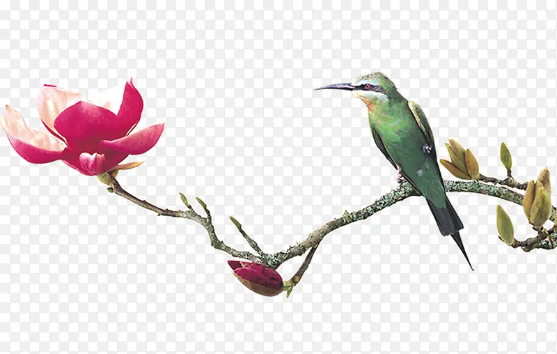 ��-������