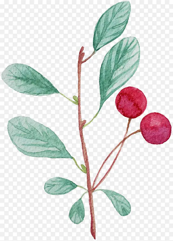 ˮ�ʹ�ʵ-������