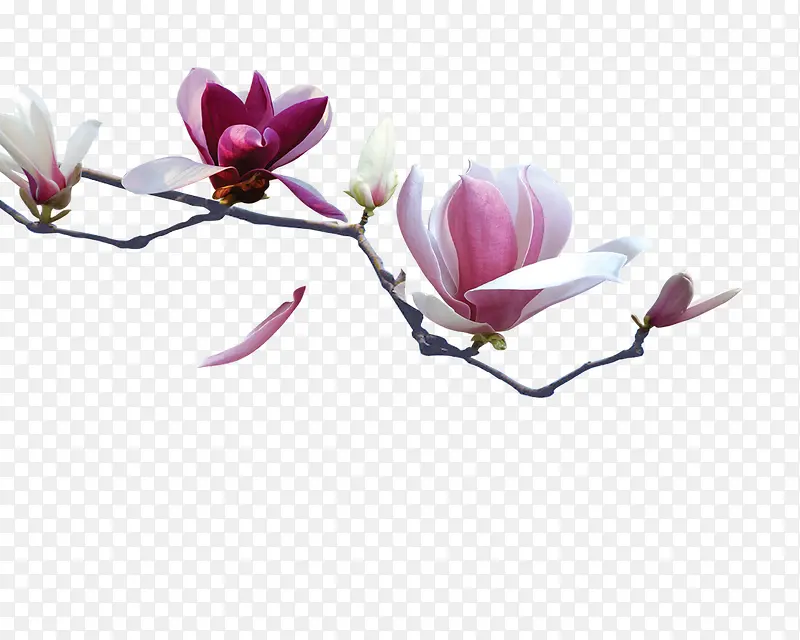 ����-������