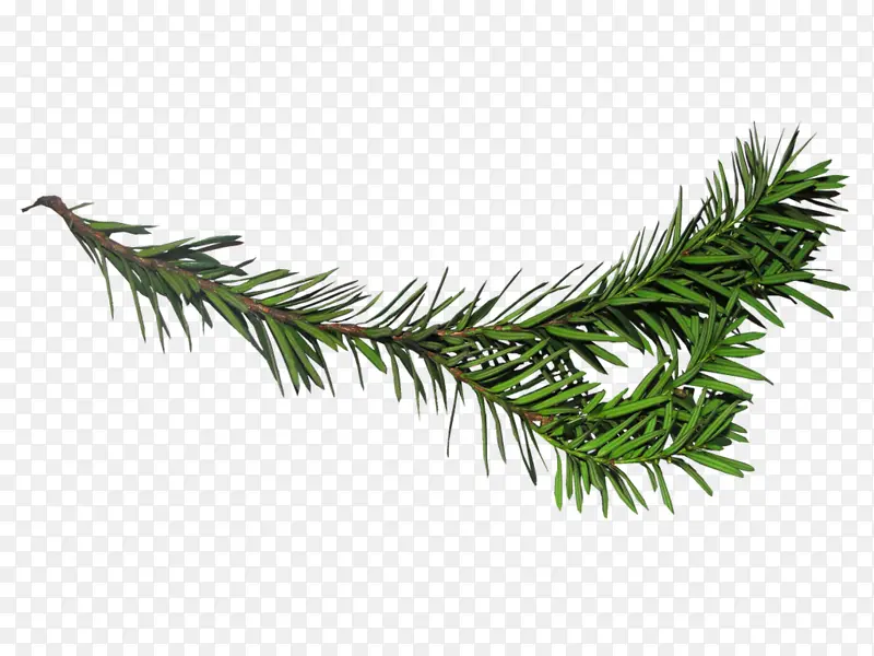 һ֧��֦-������