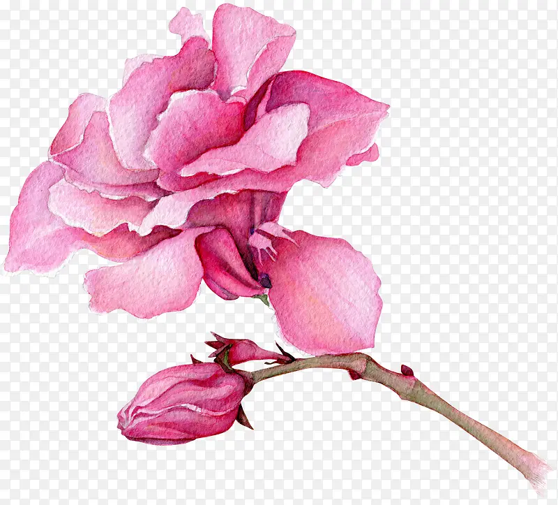 �ֻ滨��-������