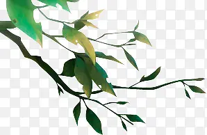 ��ɫ֦Ҷ-������