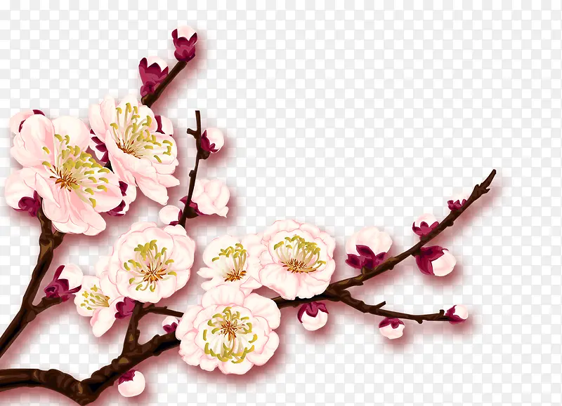 �һ�-������