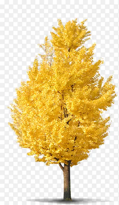 ��-������