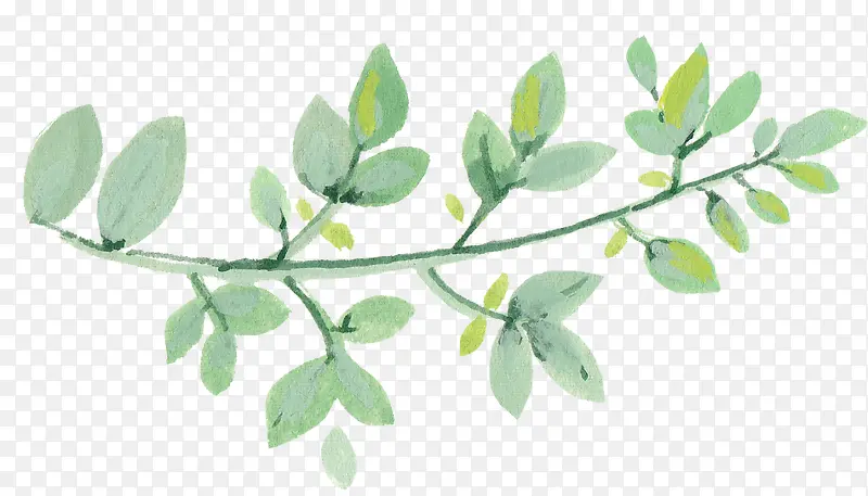 �ֻ���֦-������