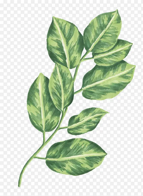 Ҷ��-������