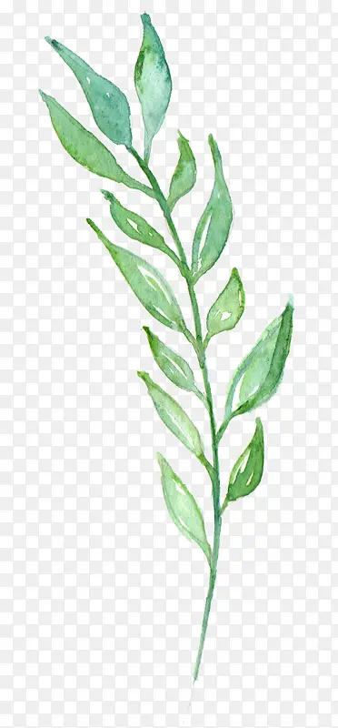 �ֻ�Ҷ��-������