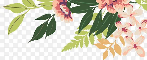 ��֦-������