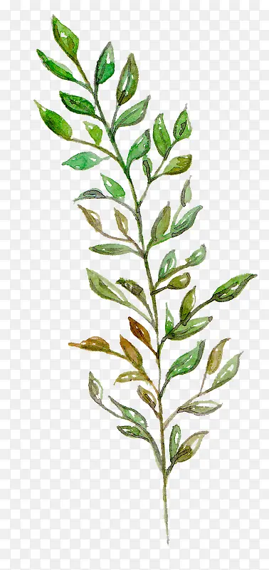 ��Ҷ-������