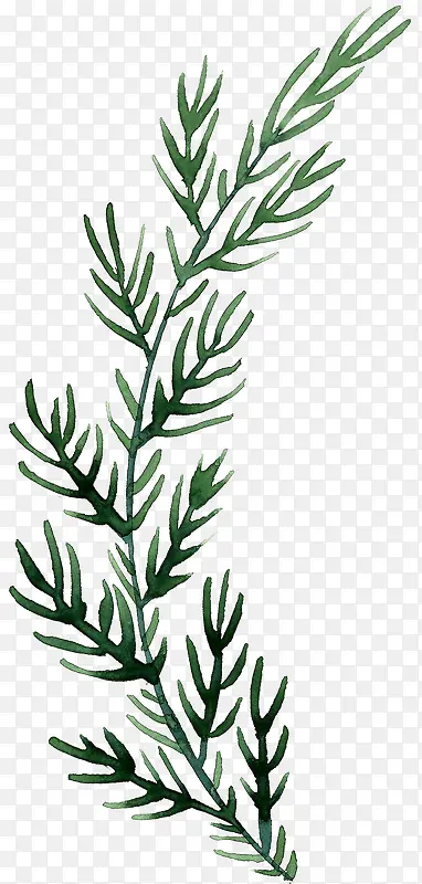 �ֻ���֦-������