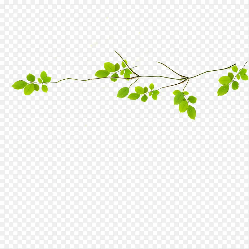 ��֦-������