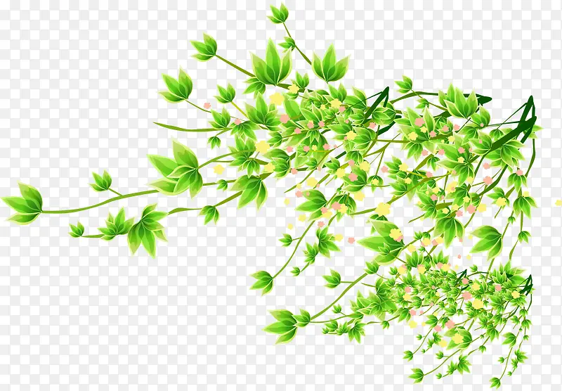 ��Ҷ-������