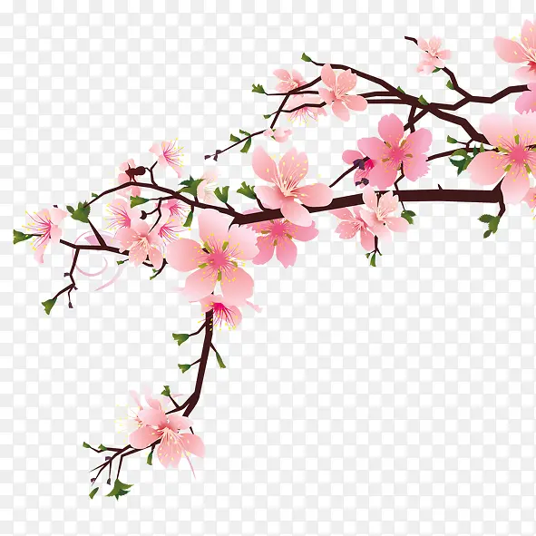 ��ɫ�һ�-������