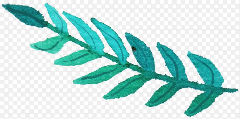 �ֻ���֦-������