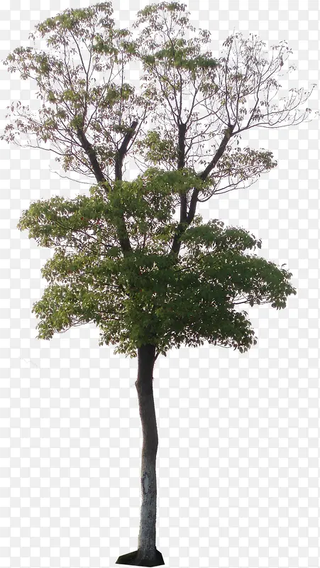 ��-������