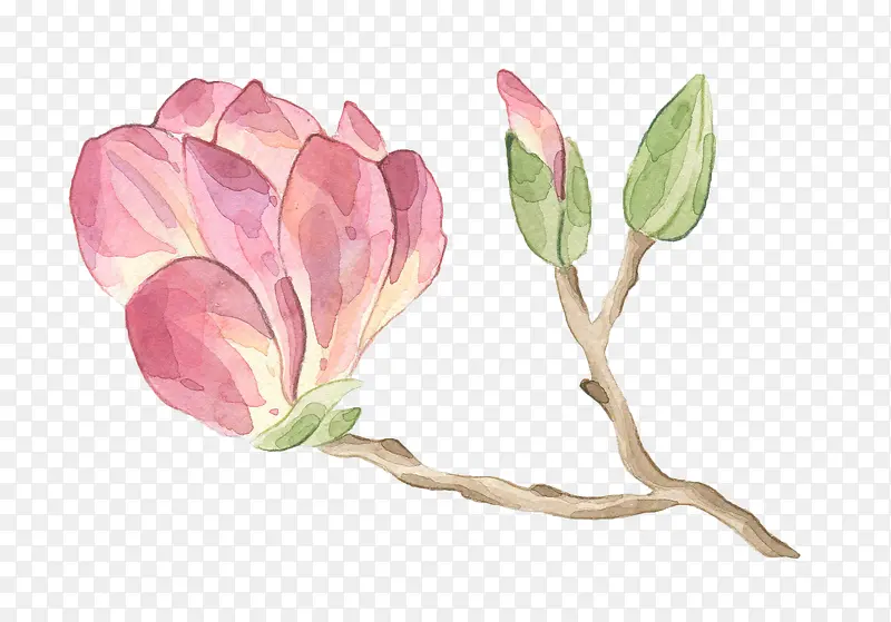 ��֦�ϵĻ���-������