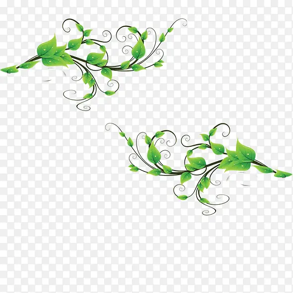 ��ɫ֦Ҷ-������