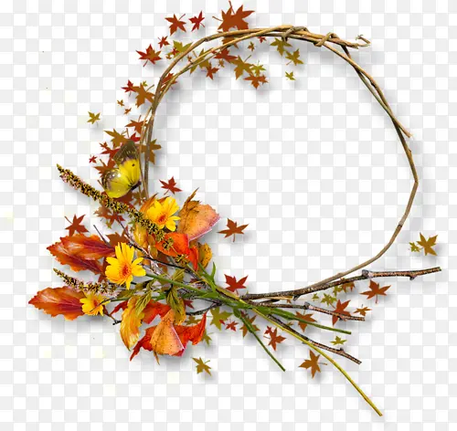 �����߿�-������